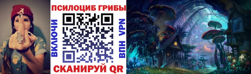 Купить где  Торжок  Псилоцибиновые грибы Magic Shrooms 
